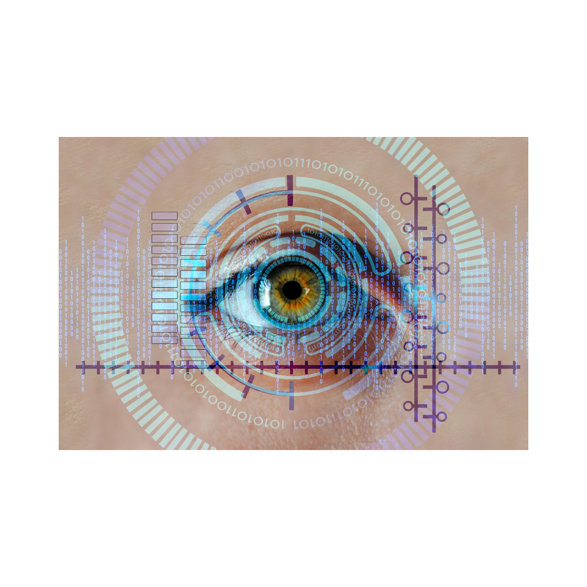 Biometric Security System